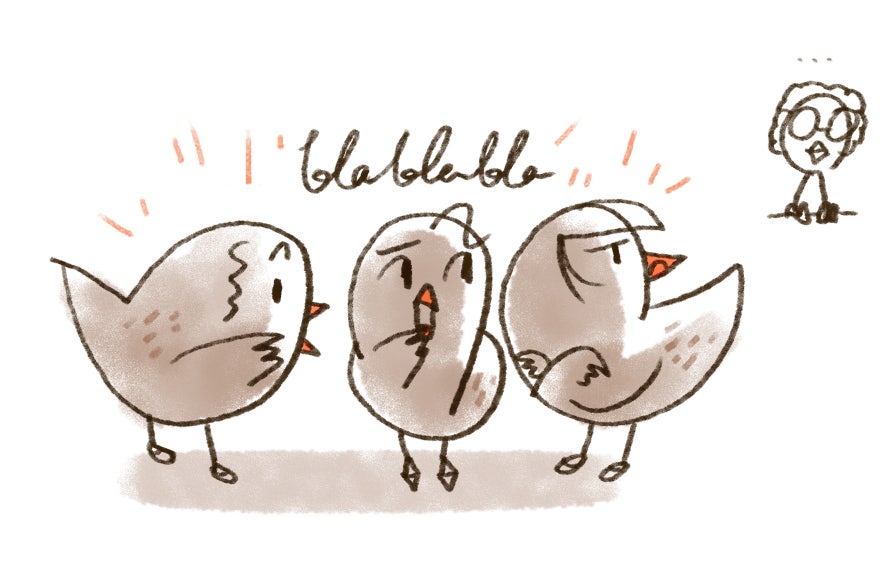 Creator S Playground Grafolio